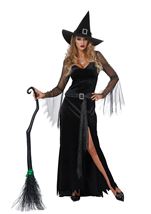 Rich Witch Women Costume