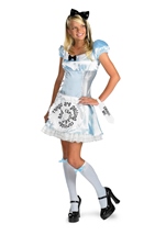 Alice In Wonderland  Women Costume