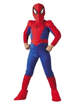 Boys Spiderman Muscle Costume