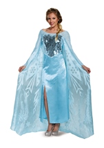 Adult Elsa Disney Princess Women Costume