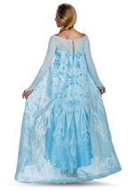 Adult Elsa Disney Princess Women Costume