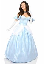 Adult Plus Size Fairy Tale Princess Corset Women Costume
