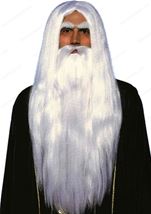 Adult Wizard Men Wig And Beard Set