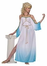 Grecian Goddess Women Costume