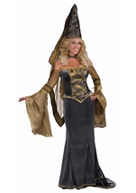 Medieval Maiden Women Deluxe Costume