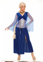 Medieval Lady Women Sapphire Costume