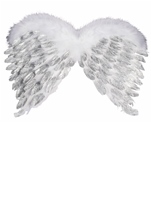 Angel Feather Wings