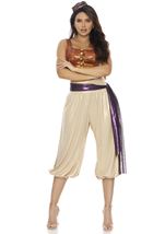 Adult Rags To Royal Harem Dancer Women Costume