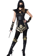 Adult Ninja Mystique Women Costume