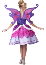 Adult Sugarplum Fairy Women Deluxe Costume
