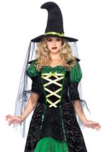 Adult Storybook Witch Women Eerie Costume