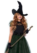 Adult Darling Spellcaster Women Witch Costume