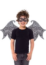 Kids Boys Black Dragon Wings And Mask