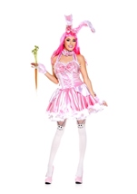 Adult Bunny Babe Women Costume