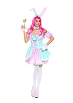Bunny Beauty Women Costume
