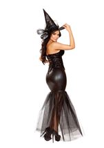 Adult Witch With An Evil Spell Women Costume 