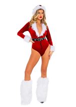 Adult Joyful Santa Woman Costume