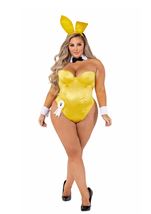 Adult Playboy Bunny Plus Size Women Costume
