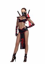 Adult Ninja Assassin Woman Costume