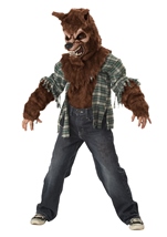 Brown Wolf Boys Costume