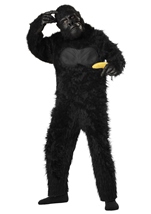 Gorilla Boys Costume