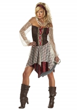 South Seas Siren  Pirate Women Costume