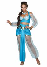 Arabian Princess Women Harem Costume