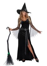 Adult Rich Witch Women Costume