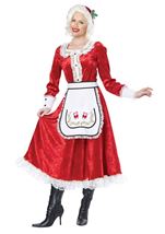 Classic Mrs Claus Women Costume