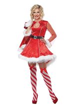 Adult Mrs Claus Women Costume