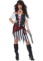 Pirate  Woman Plus Size Costume