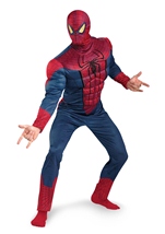 Amazing Spider Man Adult Costume