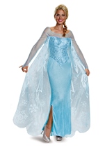 Adult Elsa Disney Princess Women Costume