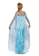 Adult Elsa Disney Princess Woman Costume