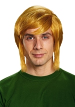 Adult Zelda Link Hyalin Men Wig