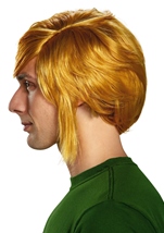 Adult Zelda Link Hyalin Men Wig
