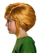 Kids Zelda Link Hyalin Boys Wig