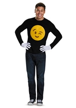 Wink Costume Kit