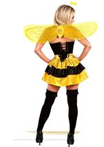 Adult Plus Size Queen Bee Corset Women Costume