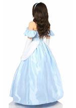 Adult Plus Size Fairy Tale Princess Corset Women Costume