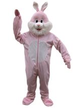 Rabbit Mascot Kids Unisex Costume