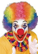 Unisex Rainbow Clown Afro Wig