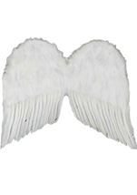 Adult White 22 inches Angel Wings