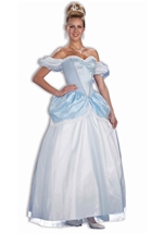 Story Book Princess Woman Costume