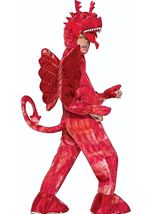 Red Dragon Boys Costume