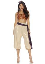 Adult Rags To Royal Harem Dancer Women Costume