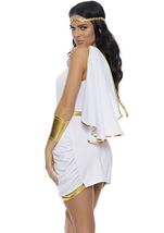 Adult Immortal Beauty Plus Size Women Goddess Costume