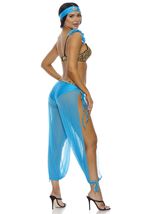 Adult Jazzy Jezebel Arabian Dancer Women Costume