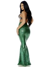 Adult Mermaid Under The Sea Beauty Women Costume