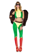 Adult Fly High Women Hero Costume